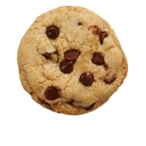 Biscuit